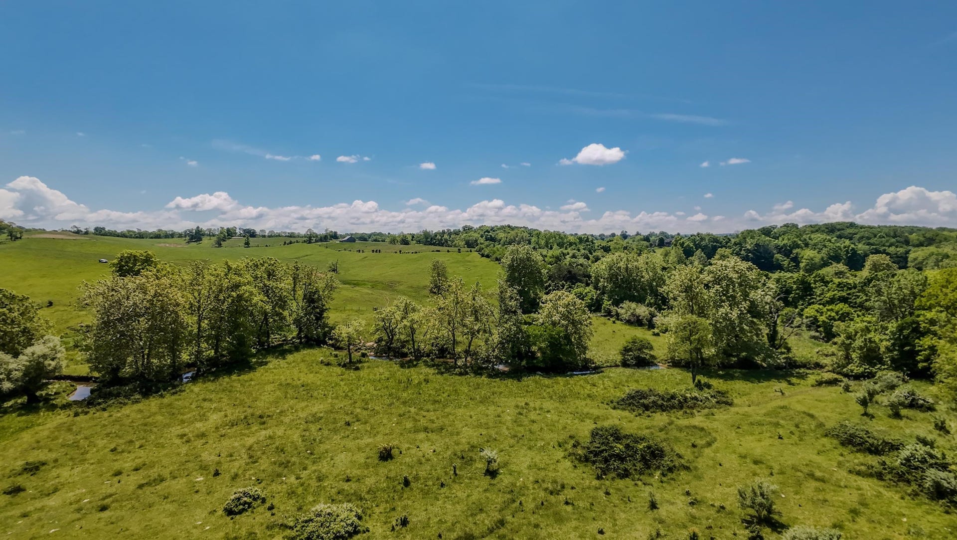 1801 Toms Creek Road, Blacksburg, VA 24060