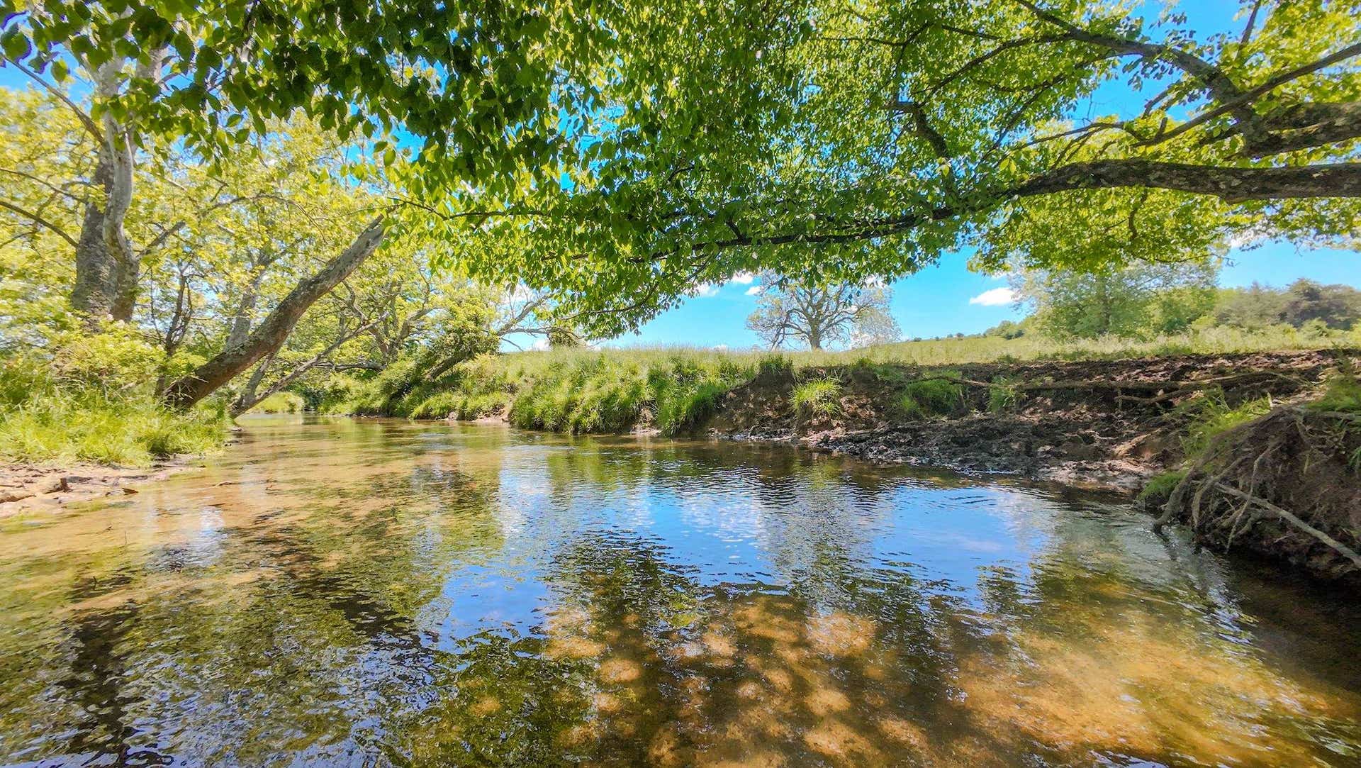 1801 Toms Creek Road, Blacksburg, VA 24060
