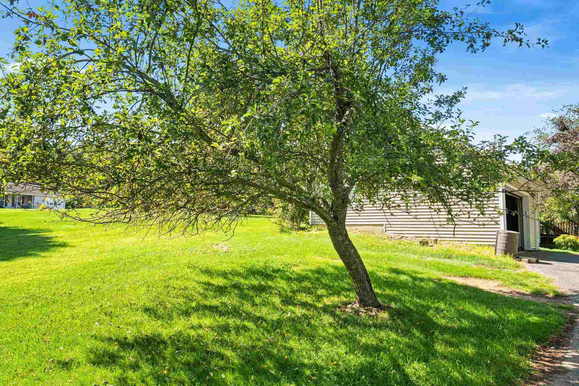3515 Cameo Lane, Blacksburg, VA 24060