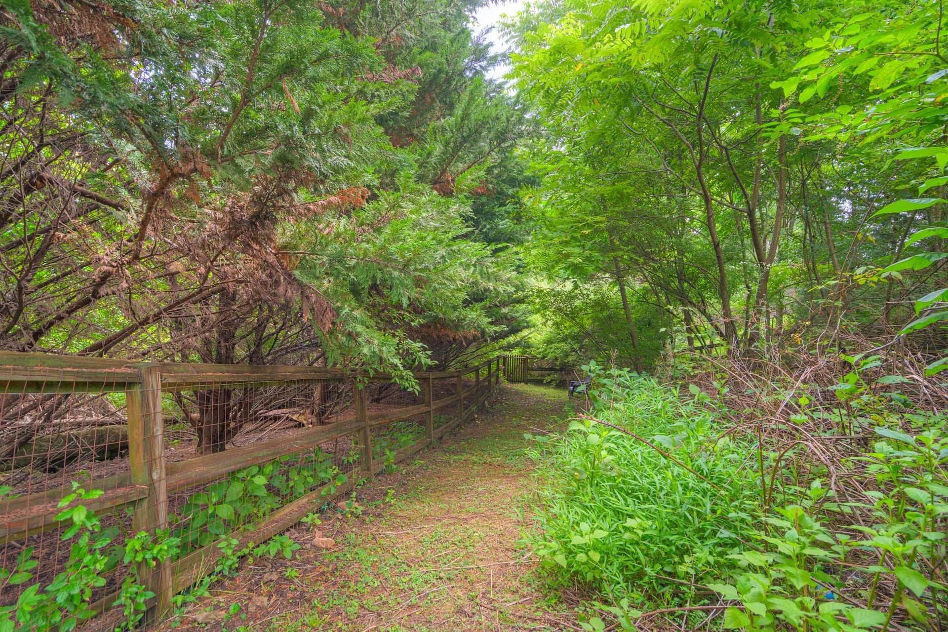 605 Leisure Lane, Blacksburg, VA 24060