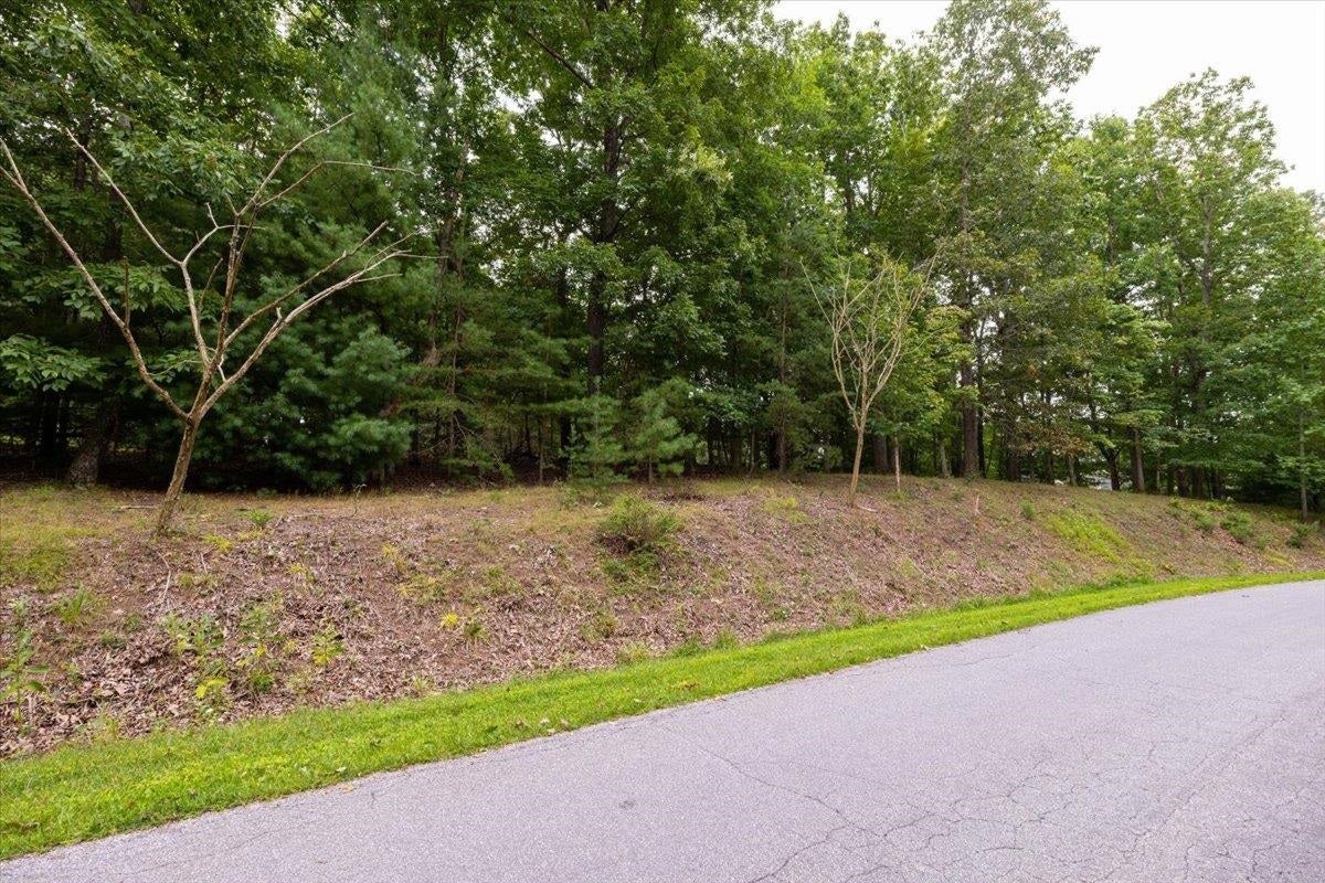 TBD Tree Top Ridge Road, Blacksburg, VA 24060