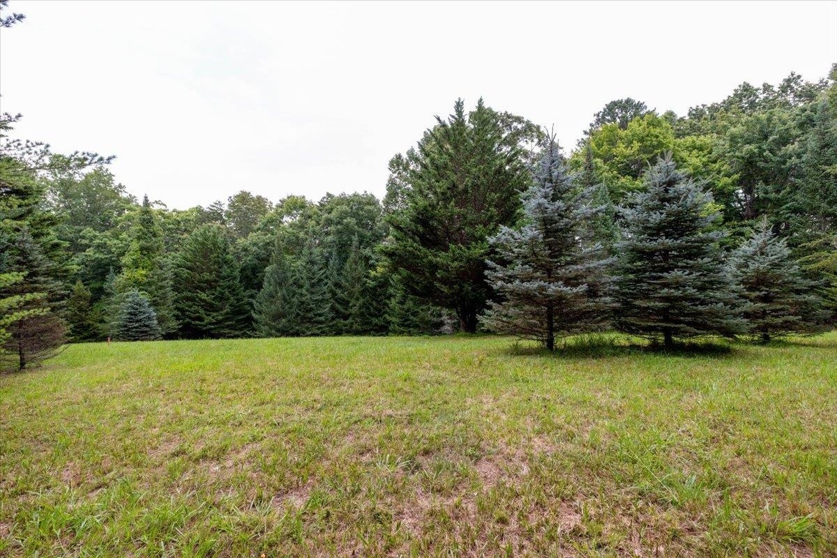 TBD Tree Top Ridge Road, Blacksburg, VA 24060