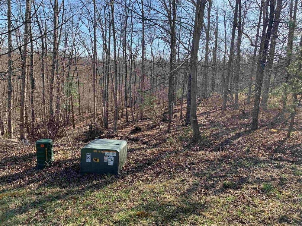 3825 Buck Mtn Ridge, Blacksburg, VA 24060