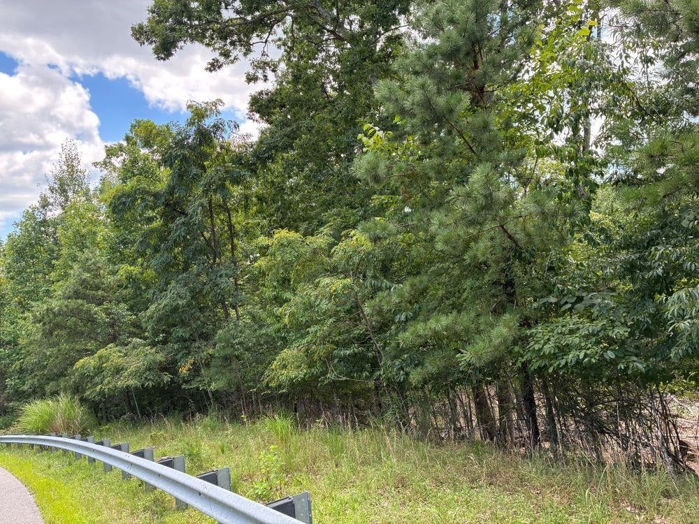 3825 Buck Mtn Ridge, Blacksburg, VA 24060