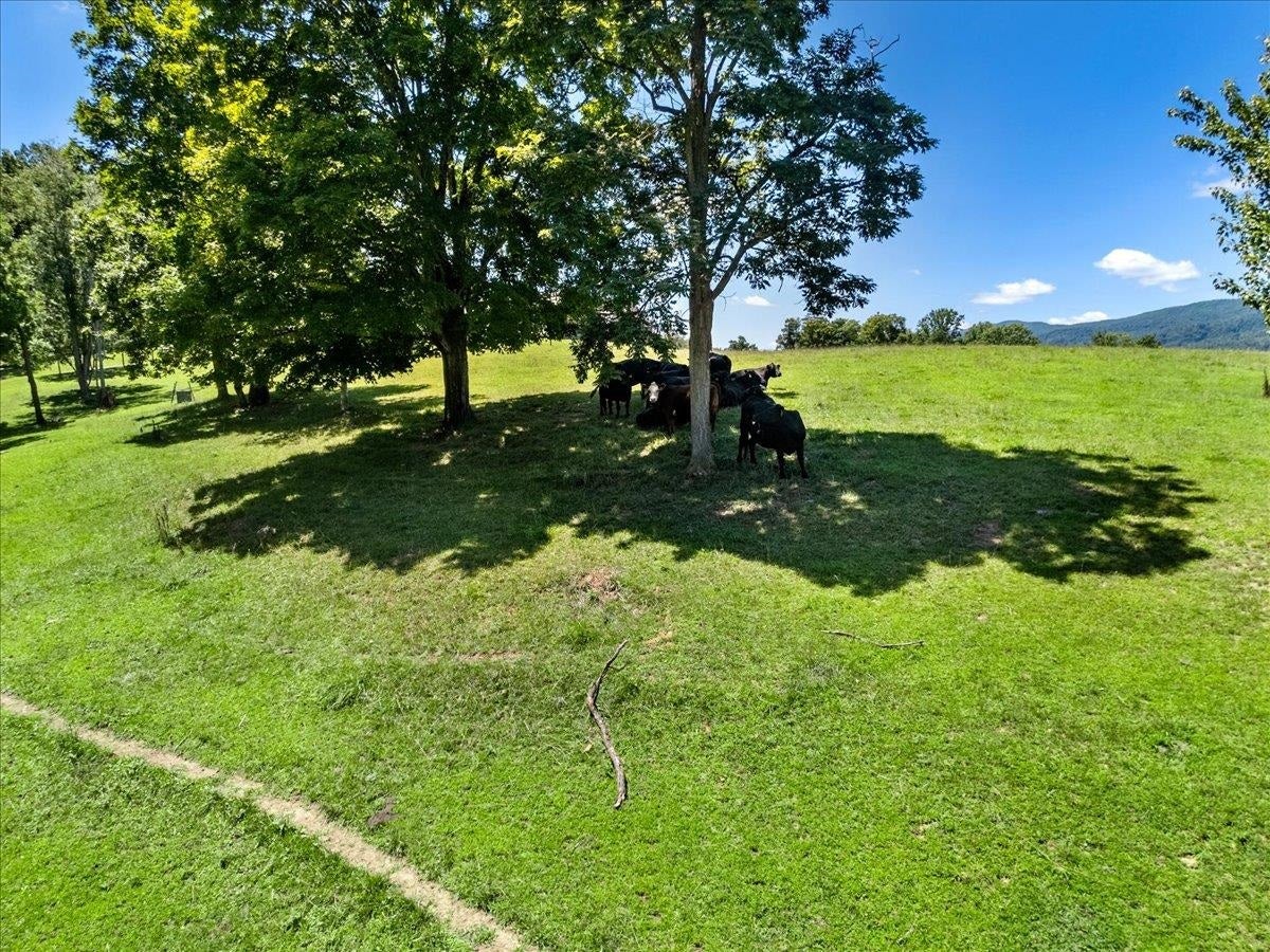 398 Penvir Street, Narrows, VA 24124