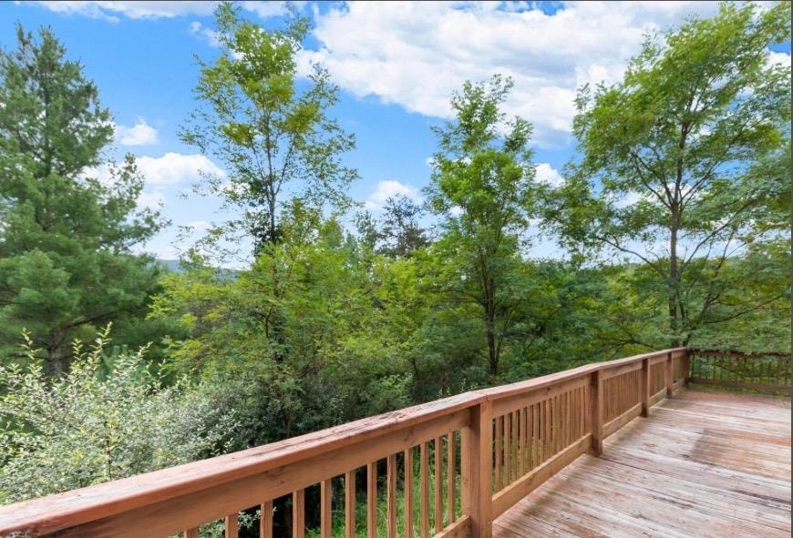 288 Spur Branch Road, Dublin, VA 24084