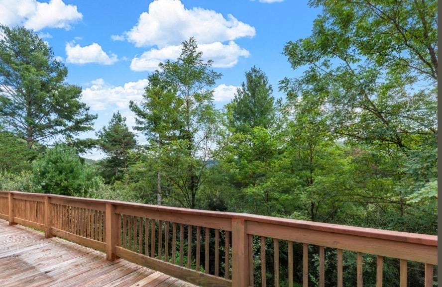 288 Spur Branch Road, Dublin, VA 24084