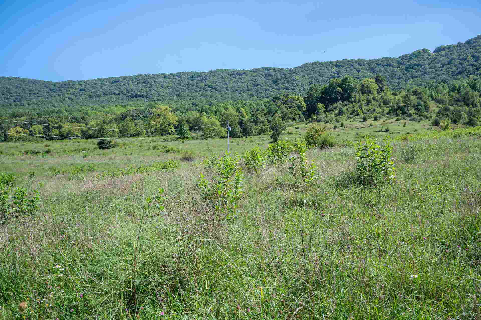 TBD Crystal Lane, Narrows, VA 24124