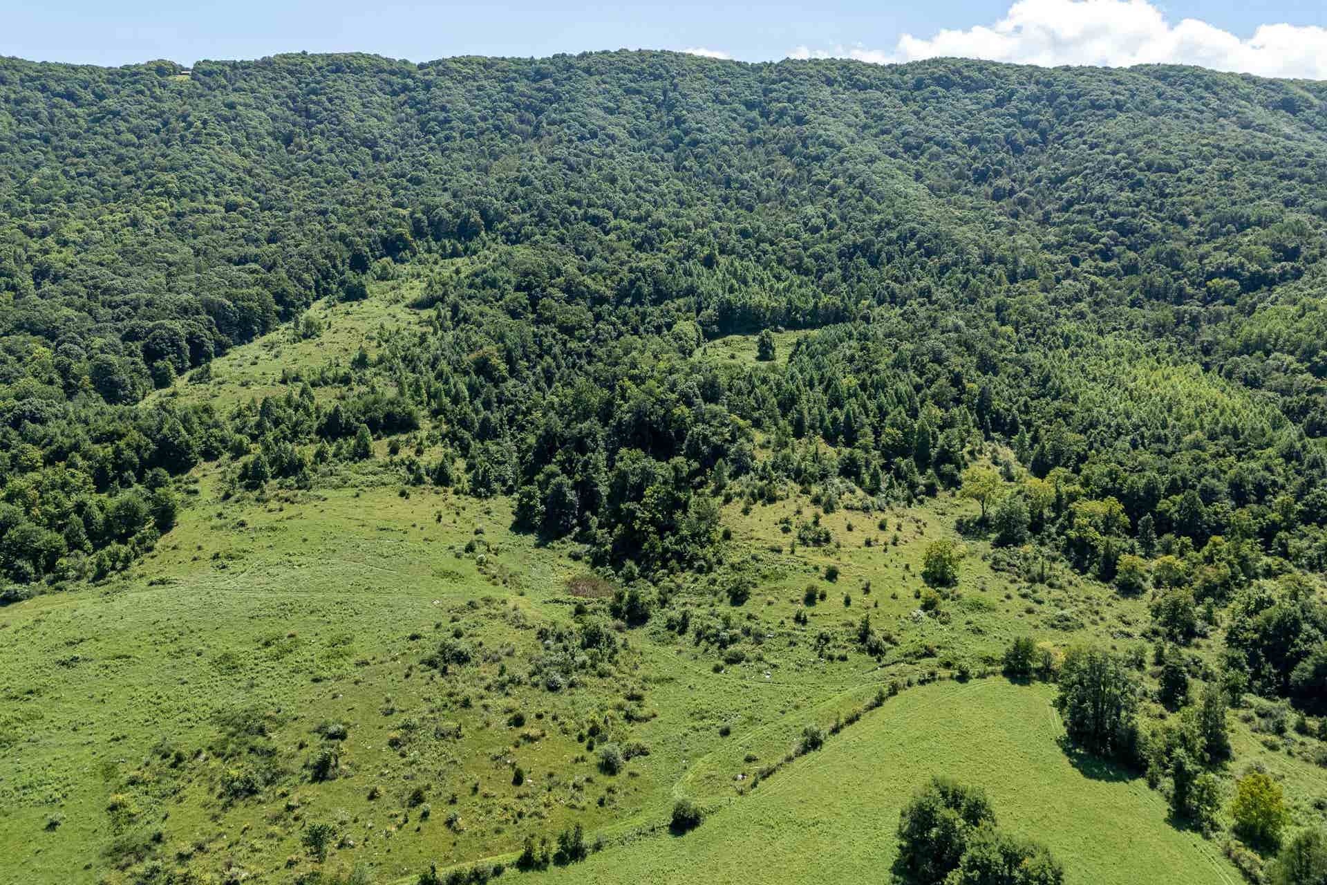 TBD Crystal Lane, Narrows, VA 24124