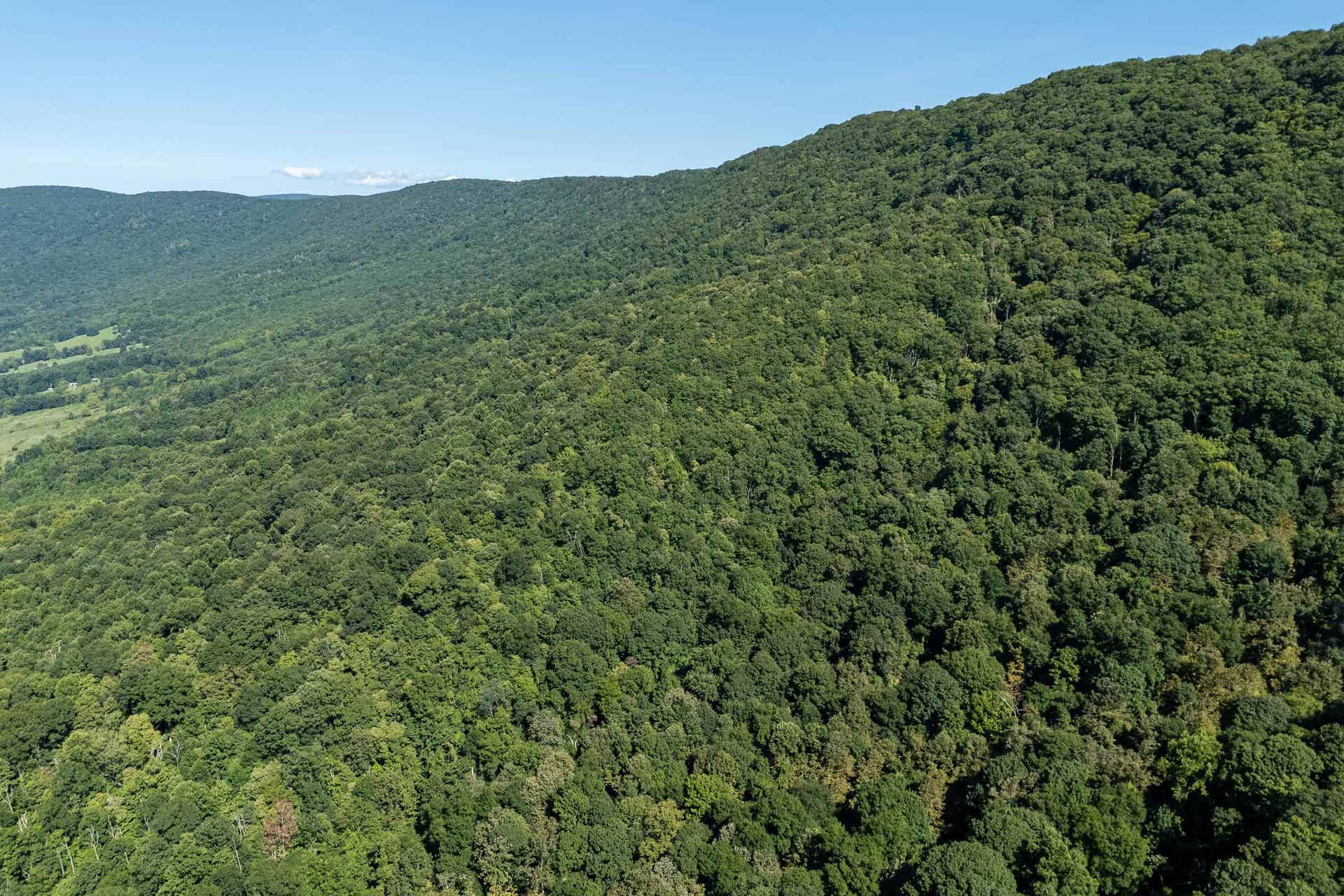 TBD Crystal Lane, Narrows, VA 24124