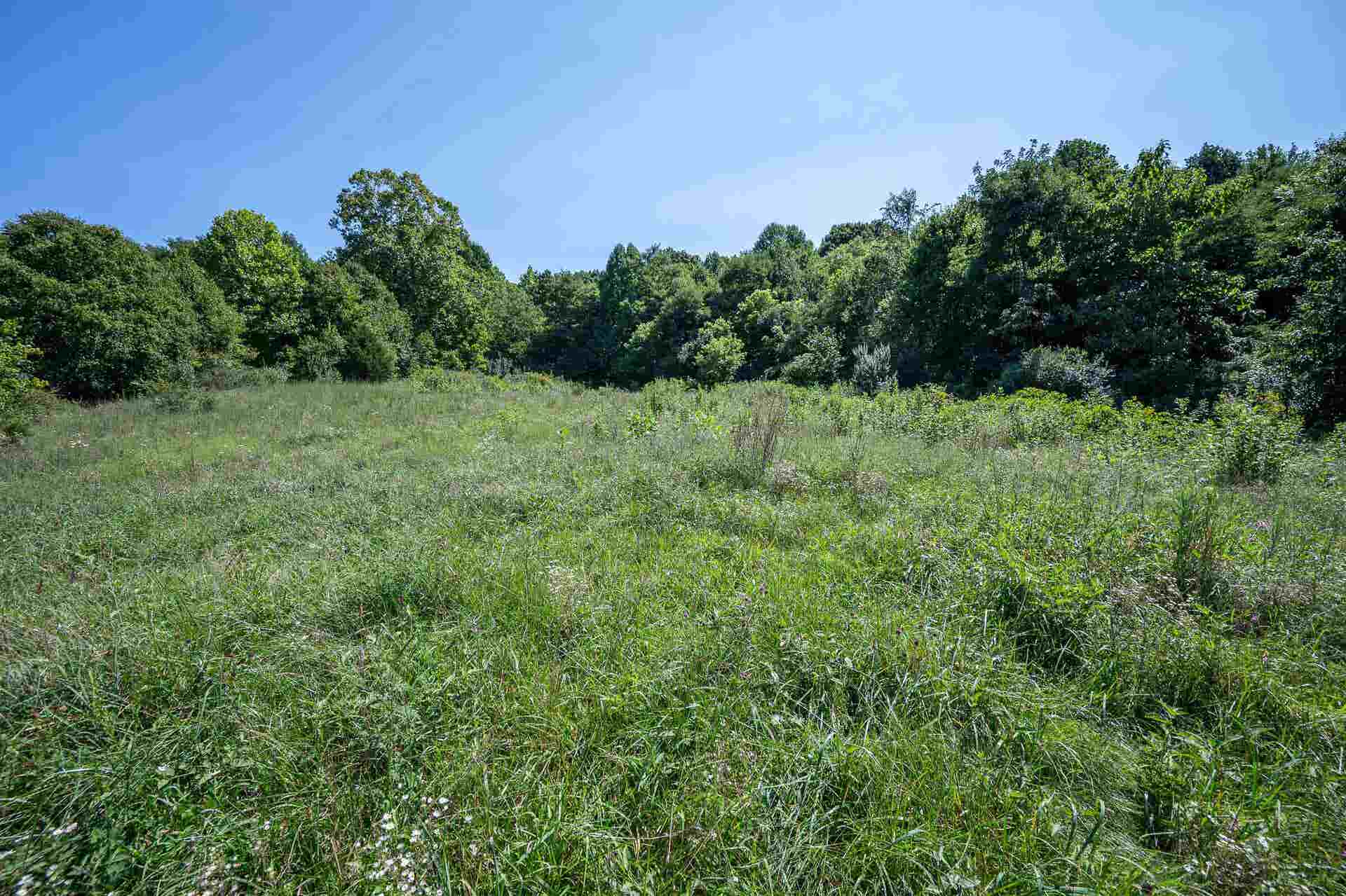 TBD Crystal Lane, Narrows, VA 24124