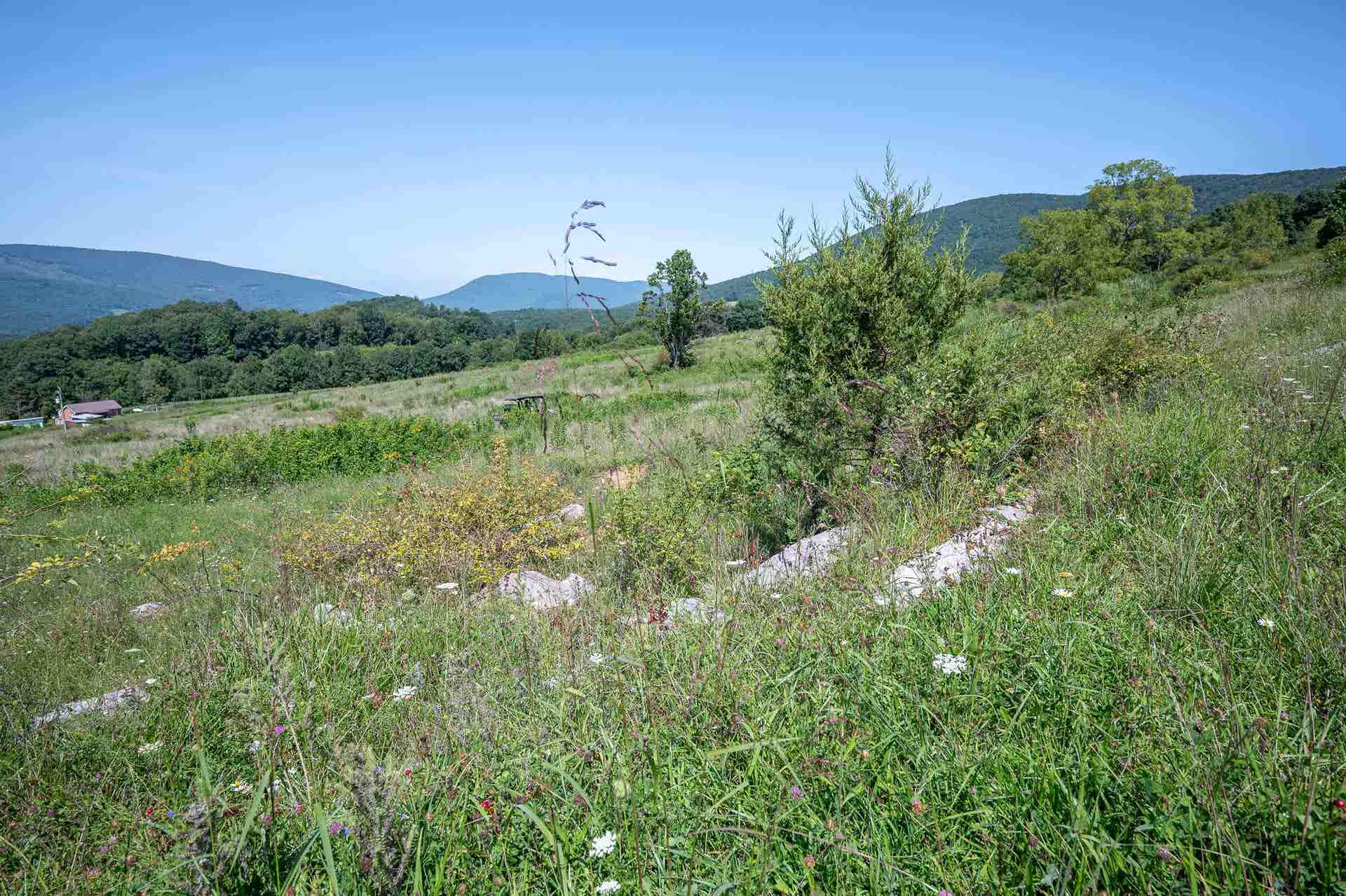 TBD Crystal Lane, Narrows, VA 24124