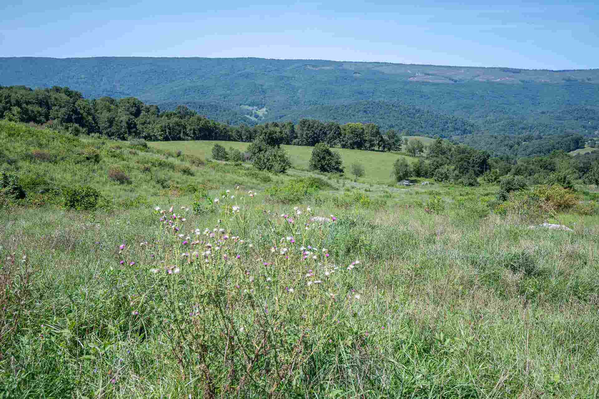 TBD Crystal Lane, Narrows, VA 24124