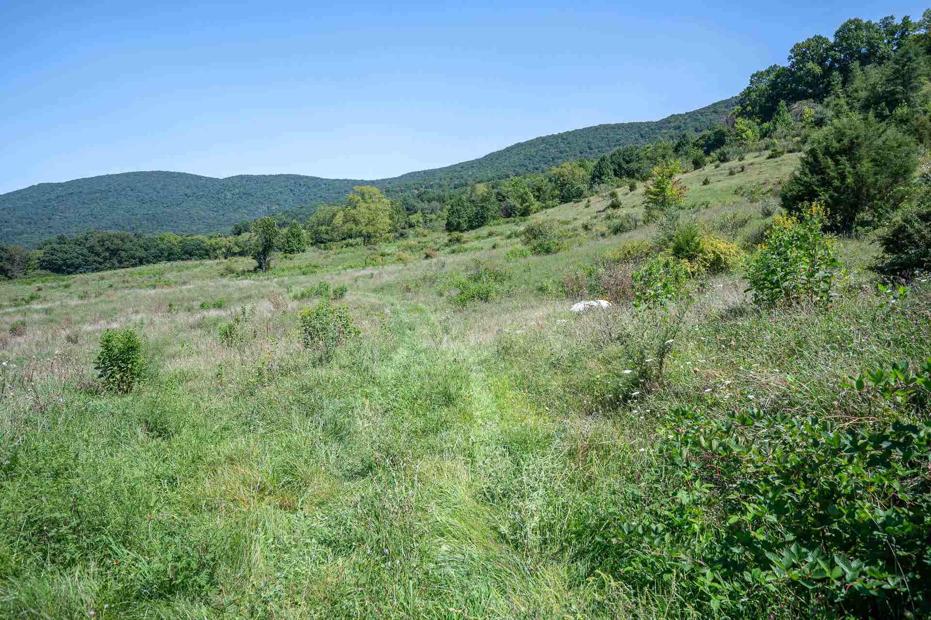 TBD Crystal Lane, Narrows, VA 24124