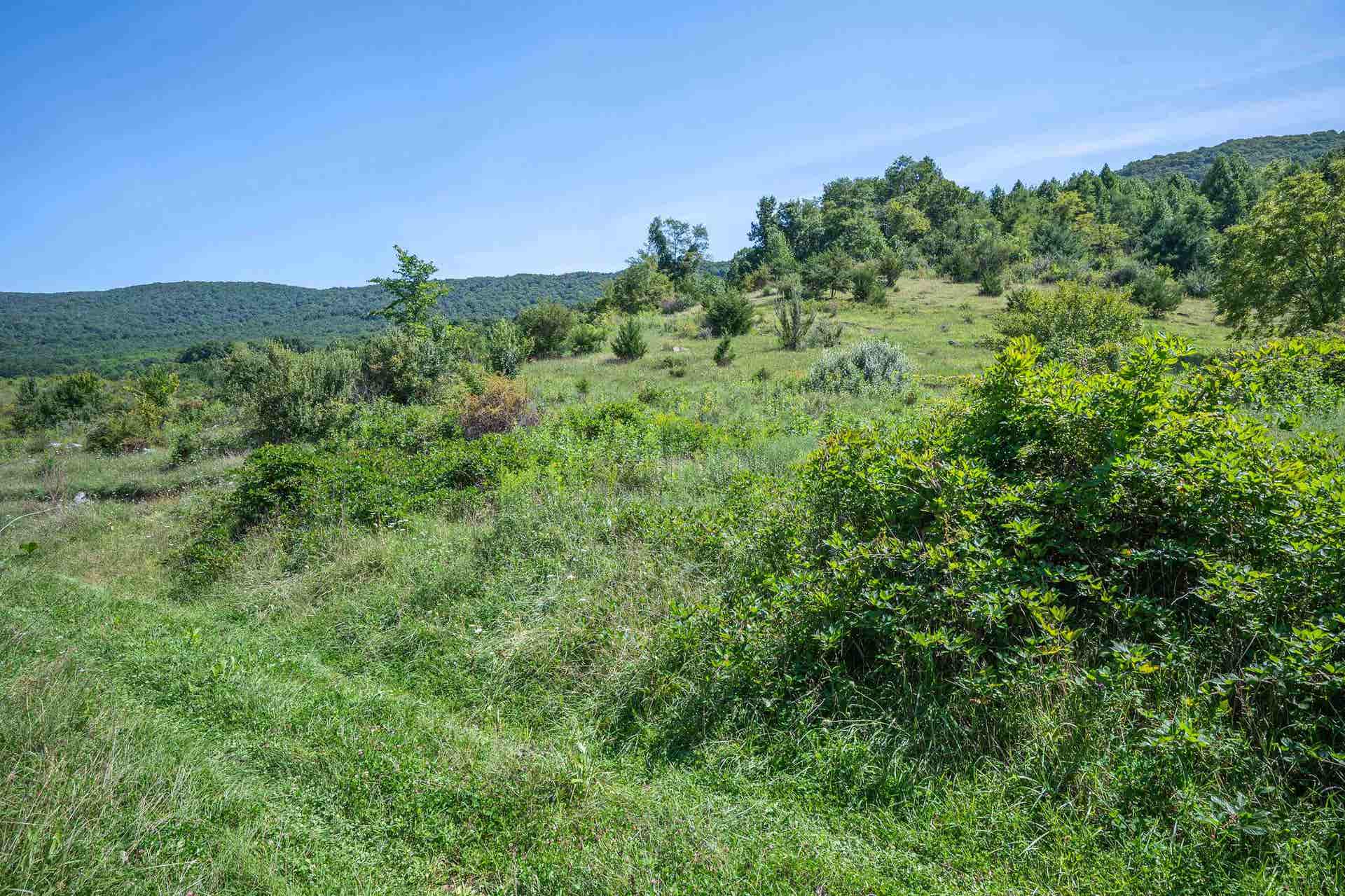 TBD Crystal Lane, Narrows, VA 24124