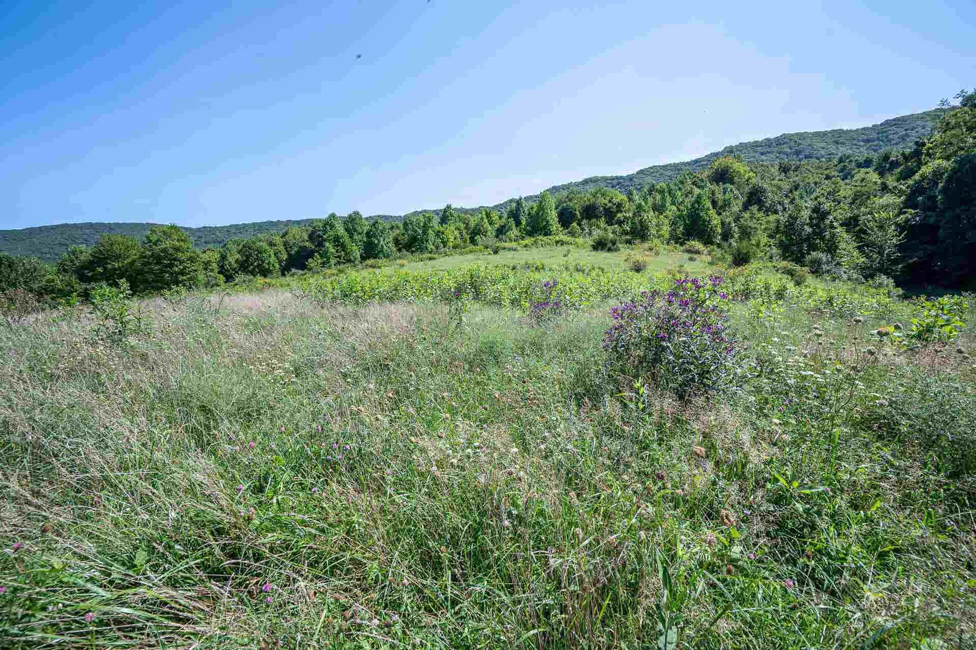 TBD Crystal Lane, Narrows, VA 24124