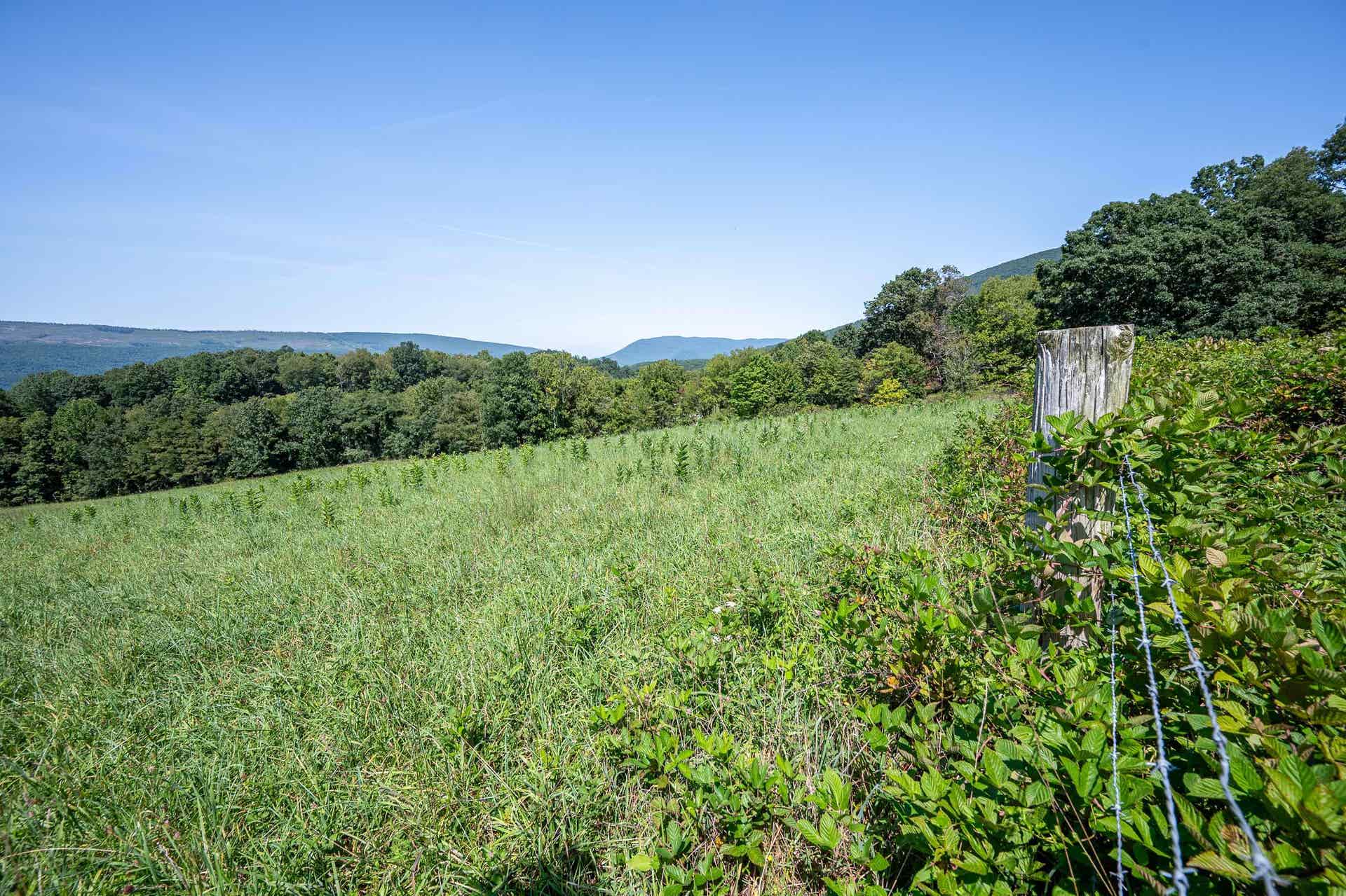TBD Crystal Lane, Narrows, VA 24124