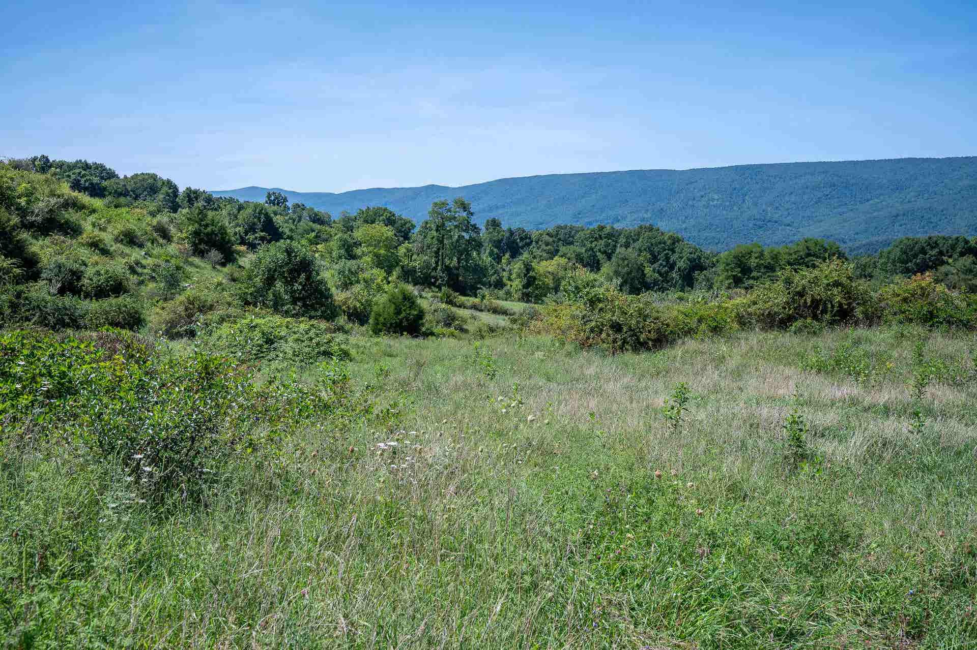 TBD Crystal Lane, Narrows, VA 24124