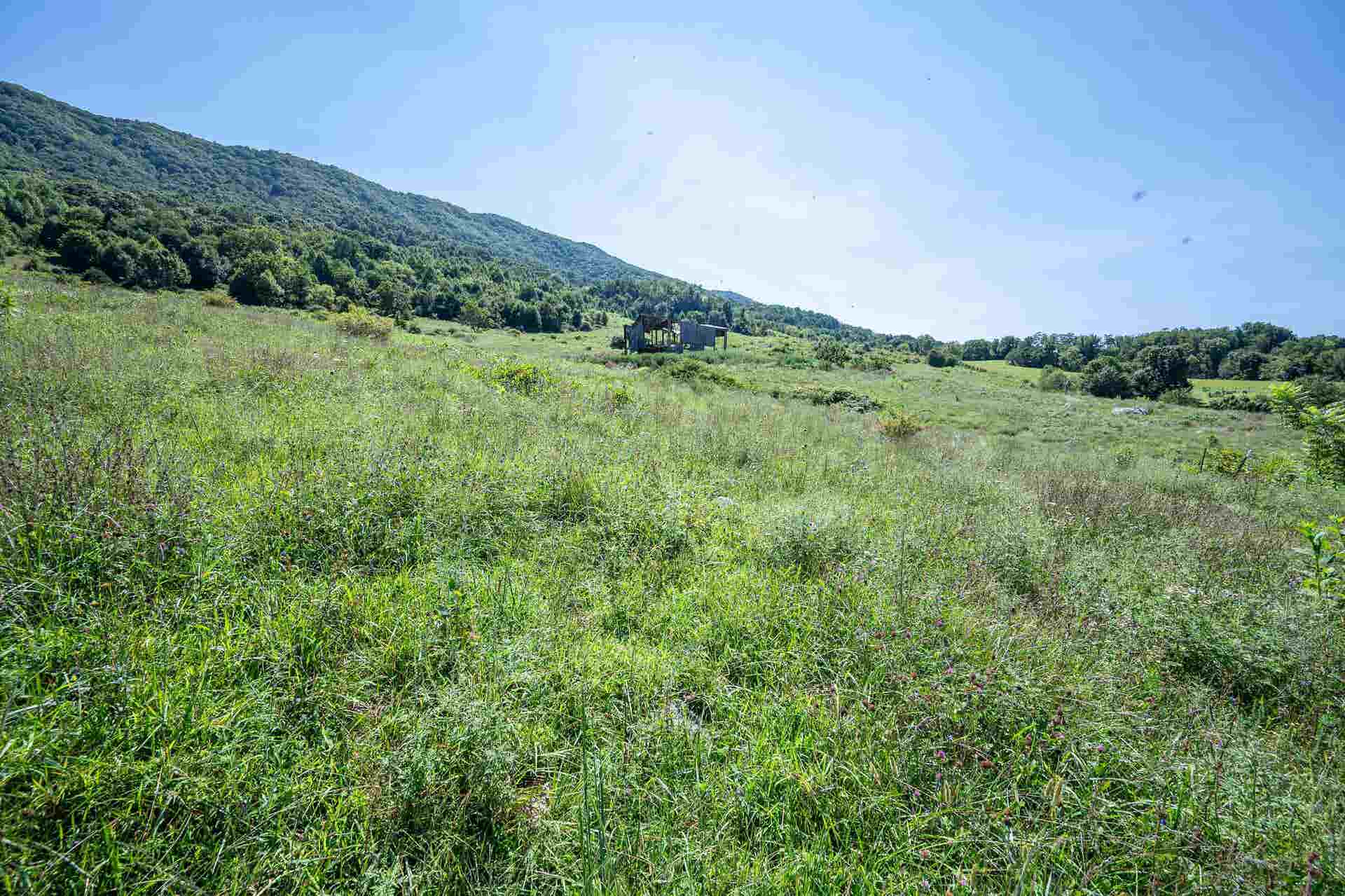 TBD Crystal Lane, Narrows, VA 24124