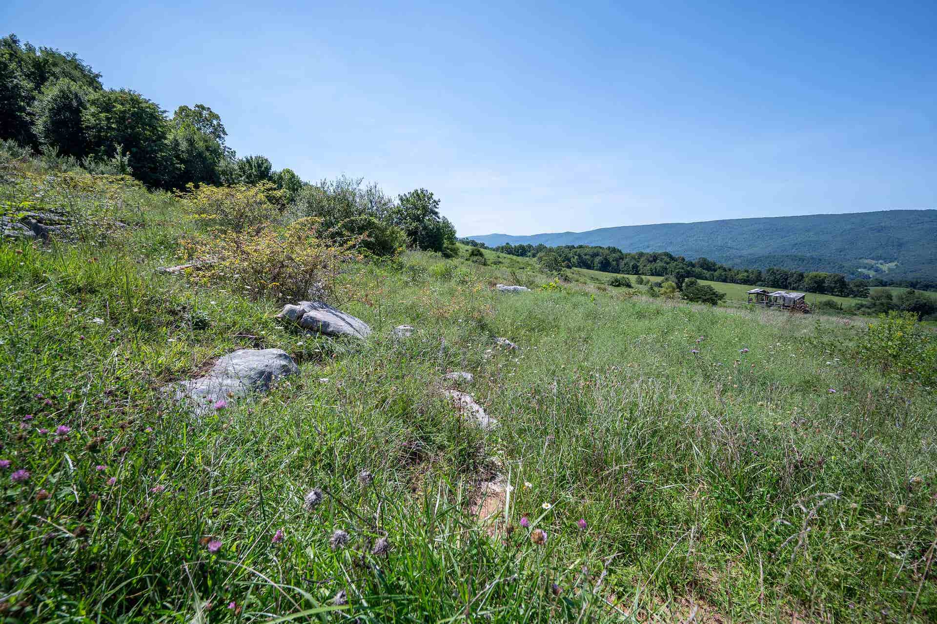 TBD Crystal Lane, Narrows, VA 24124