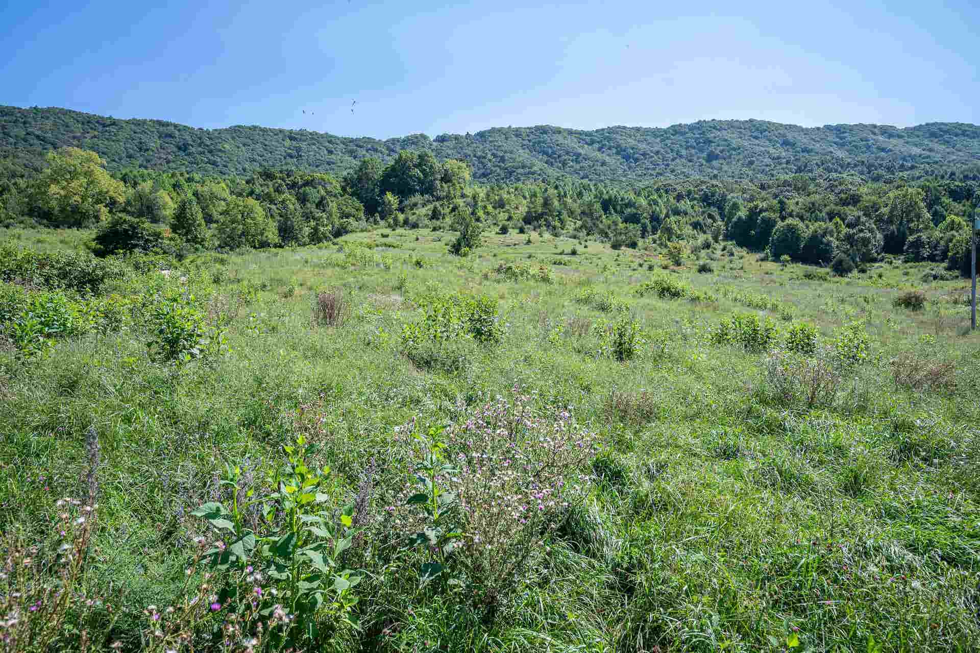 TBD Crystal Lane, Narrows, VA 24124