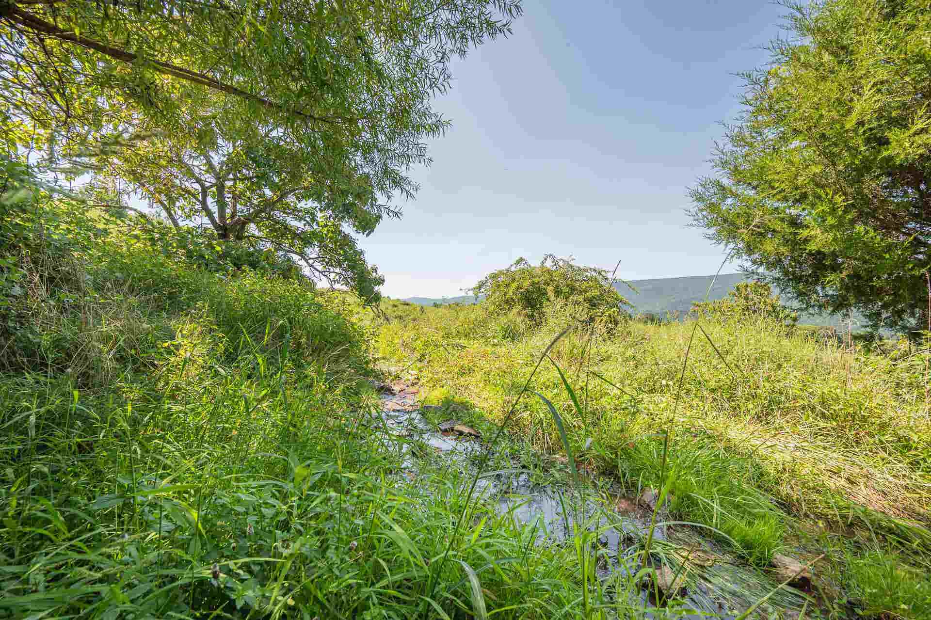 TBD Crystal Lane, Narrows, VA 24124
