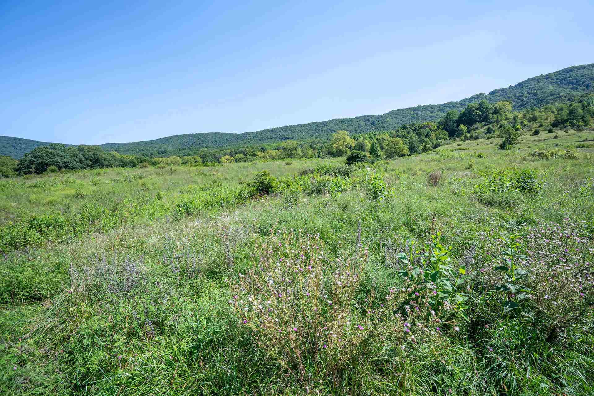 TBD Crystal Lane, Narrows, VA 24124
