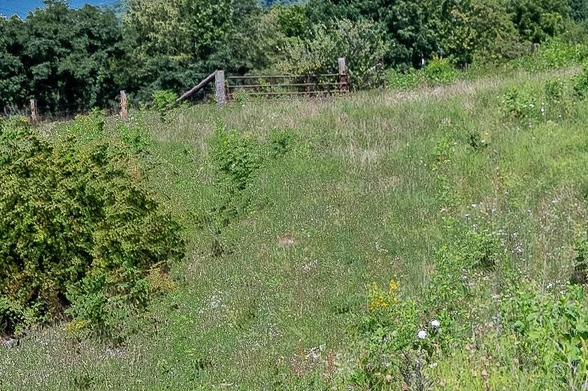 TBD Crystal Lane, Narrows, VA 24124