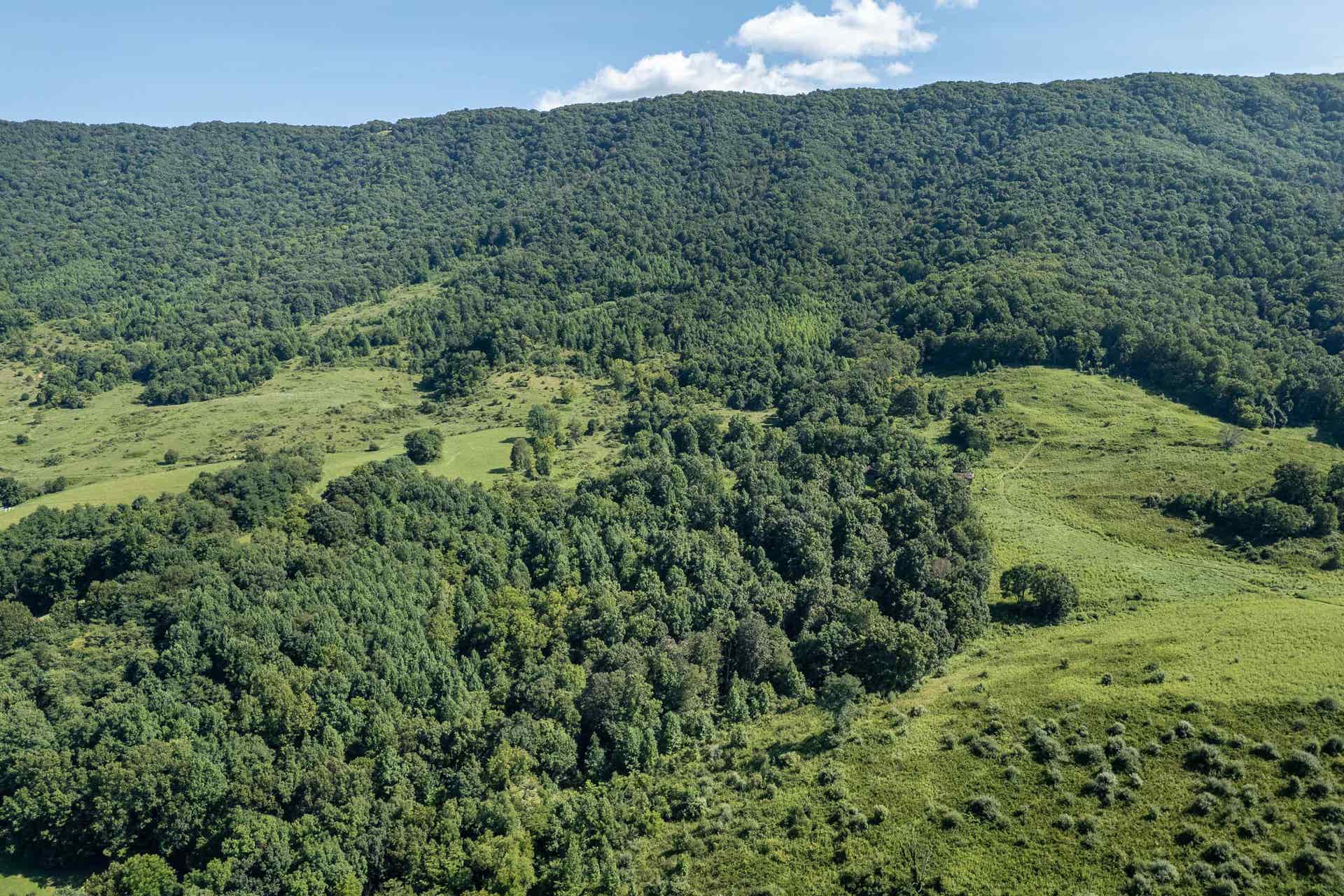 TBD Crystal Lane, Narrows, VA 24124