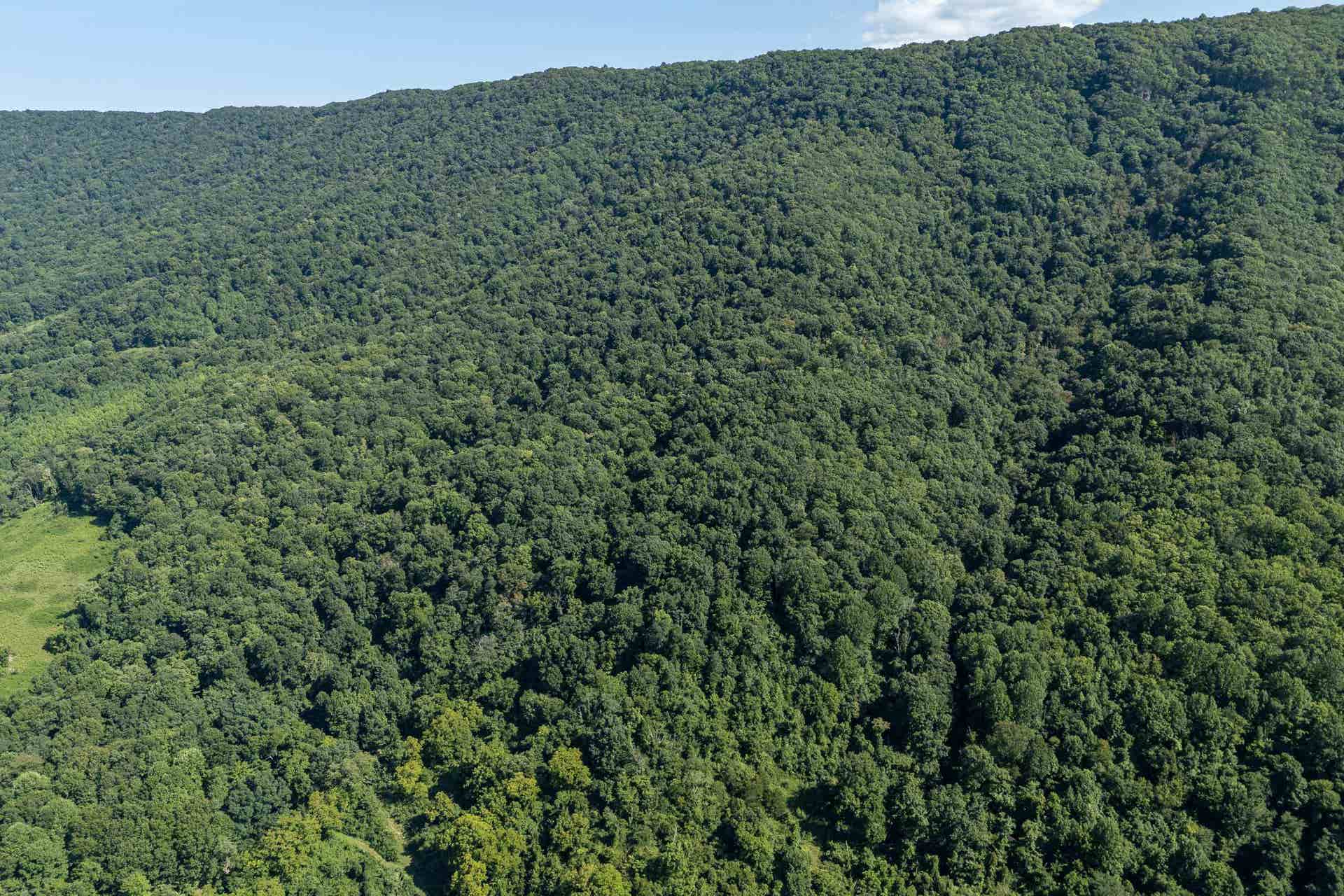 TBD Crystal Lane, Narrows, VA 24124