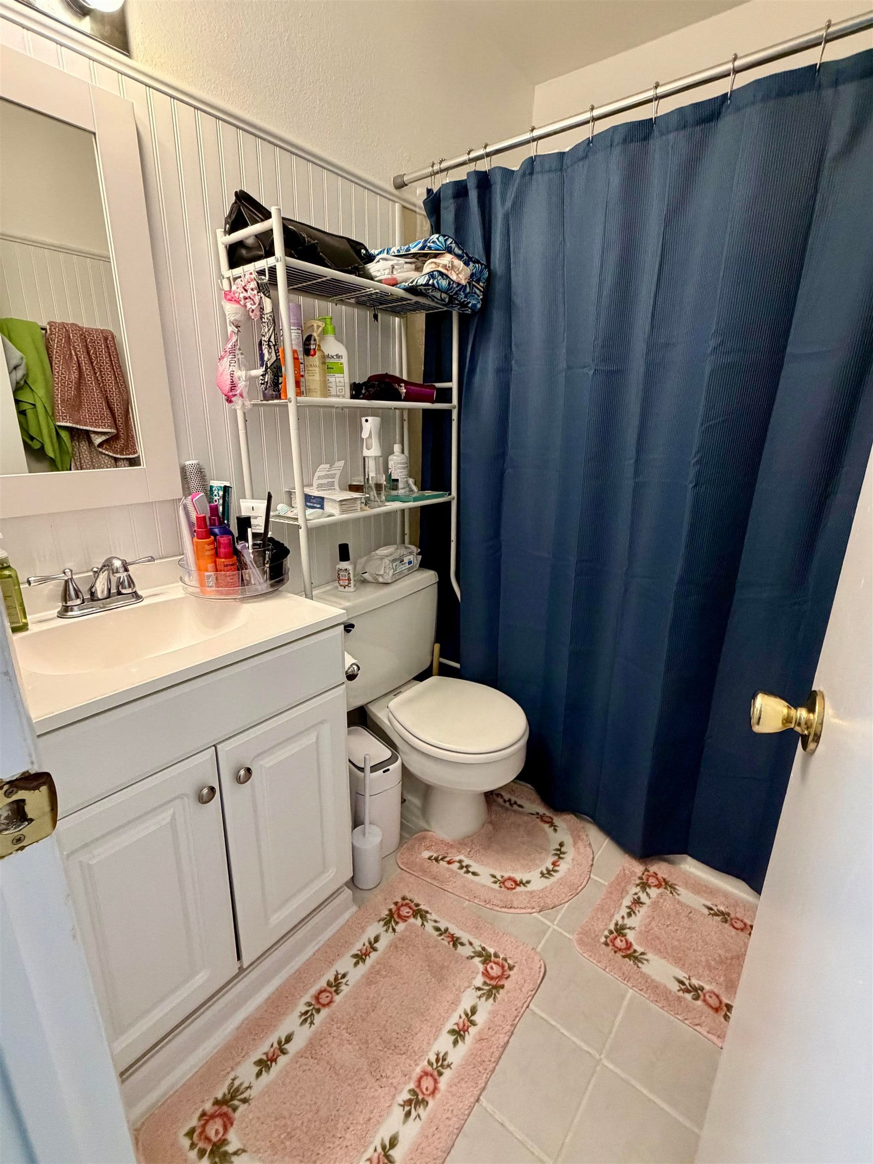 104 Canterbury Court, Blacksburg, VA 24060
