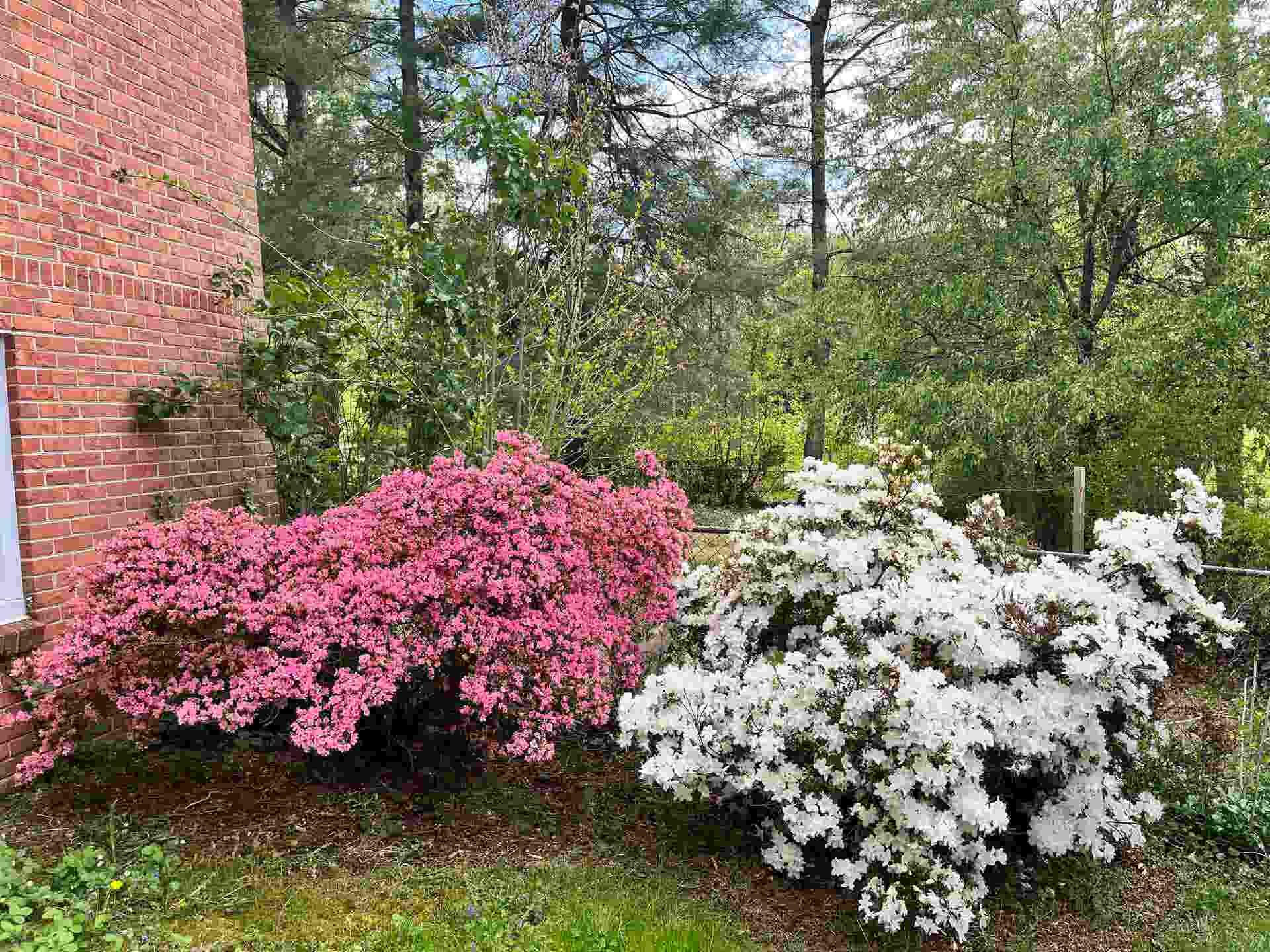 305 CORK Drive, Blacksburg, VA 24060