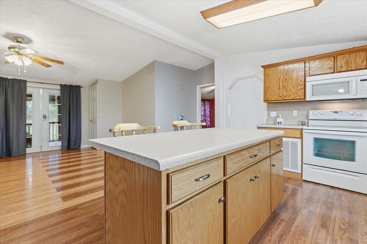 5308 THORNSPRING Road, Pulaski, VA 24301
