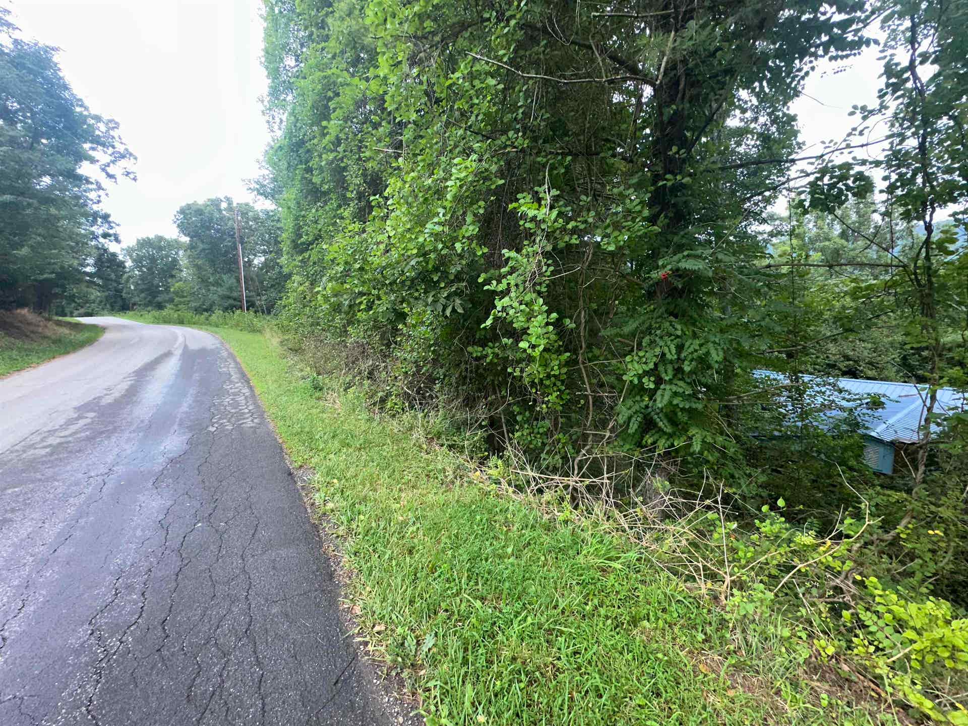 796 Piney Mountain Road, Narrows, VA 24124
