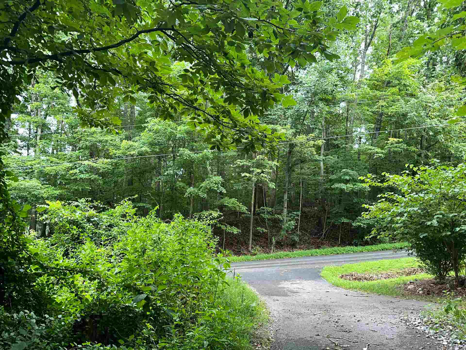 796 Piney Mountain Road, Narrows, VA 24124