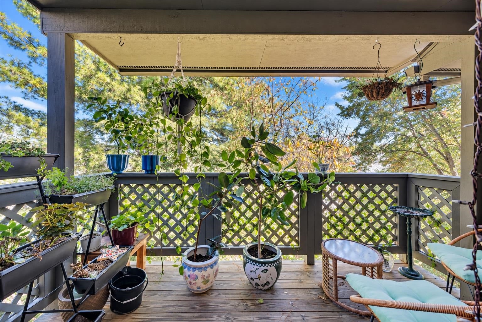 856 Newport Terrace, Blacksburg, VA 24060