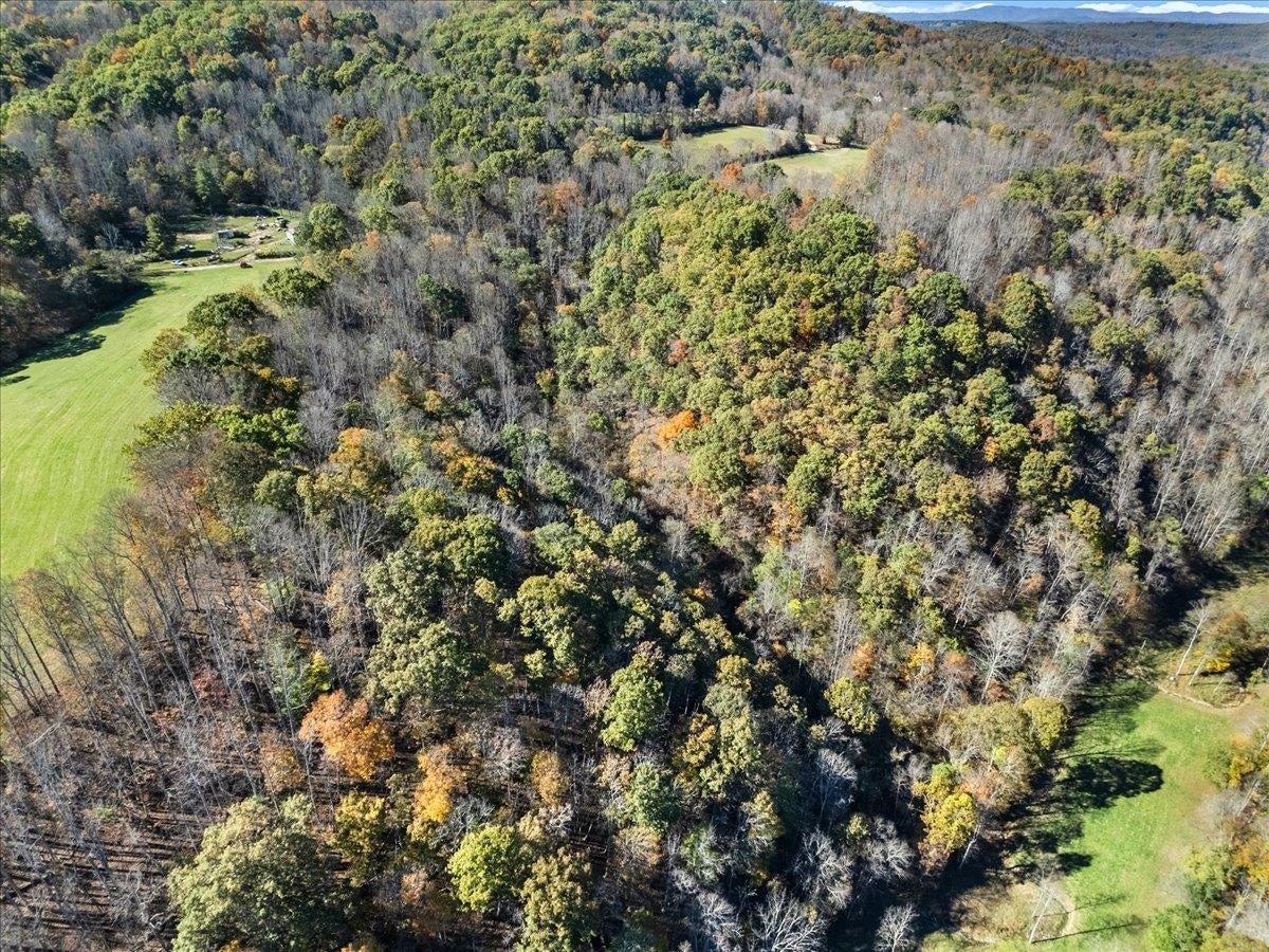 4329 Cooks Run Road, Greenville, WV 24951