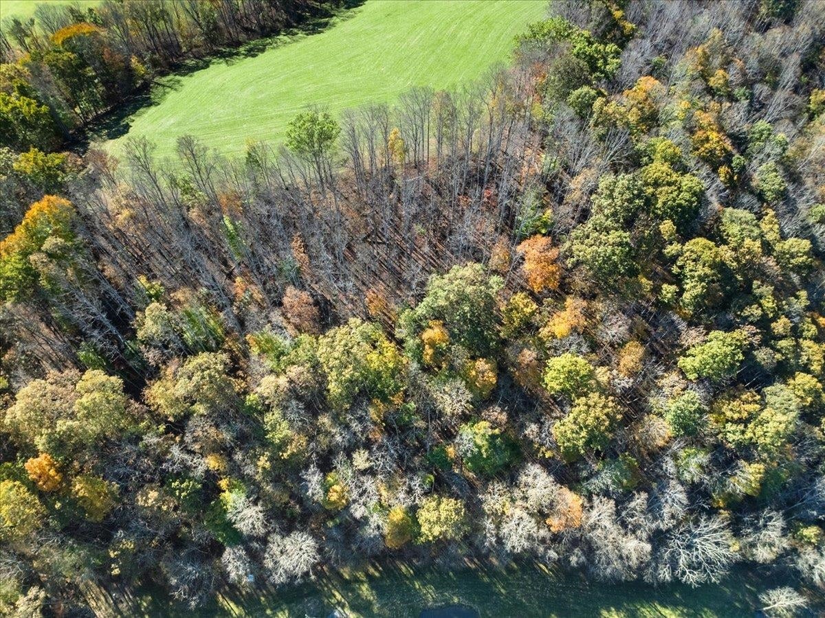 4329 Cooks Run Road, Greenville, WV 24951