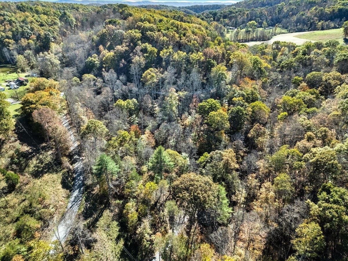 4329 Cooks Run Road, Greenville, WV 24951