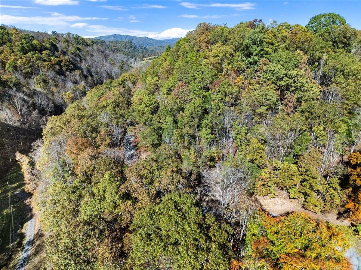 4329 Cooks Run Road, Greenville, WV 24951