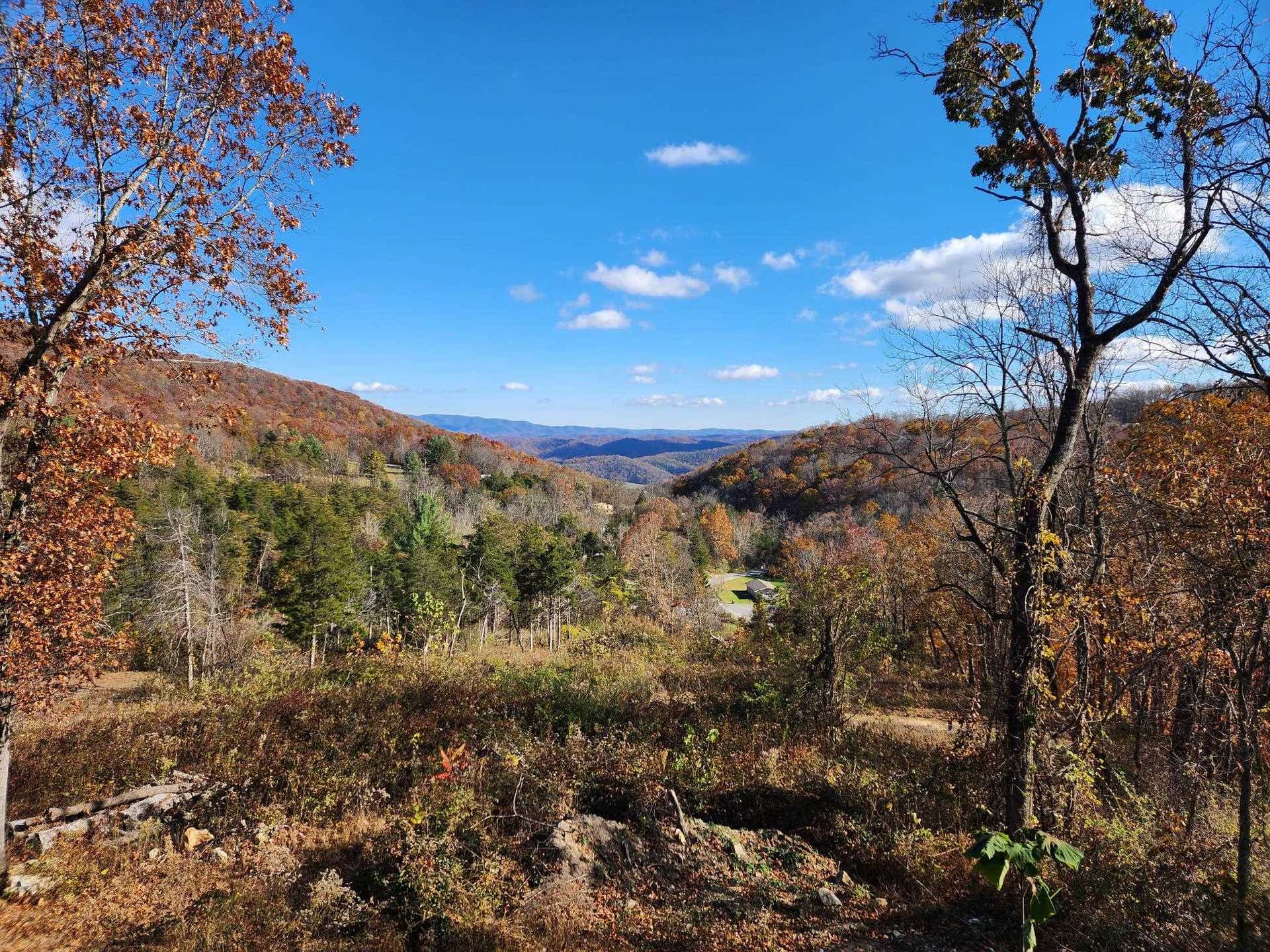 1127 BITTERSWEET Lane, Blacksburg, VA 24060