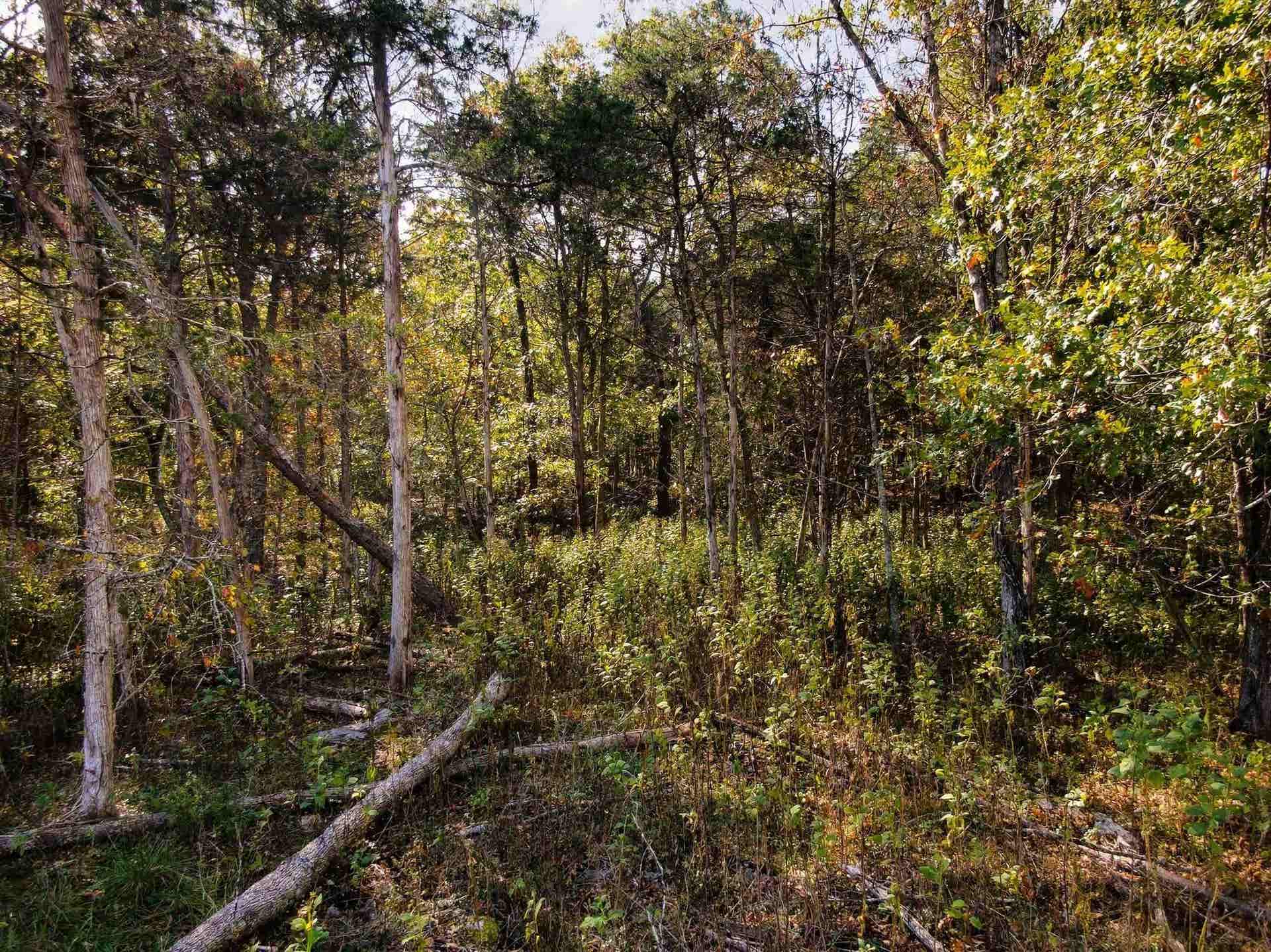 2413 Lusters Gate Road, Blacksburg, VA 24060