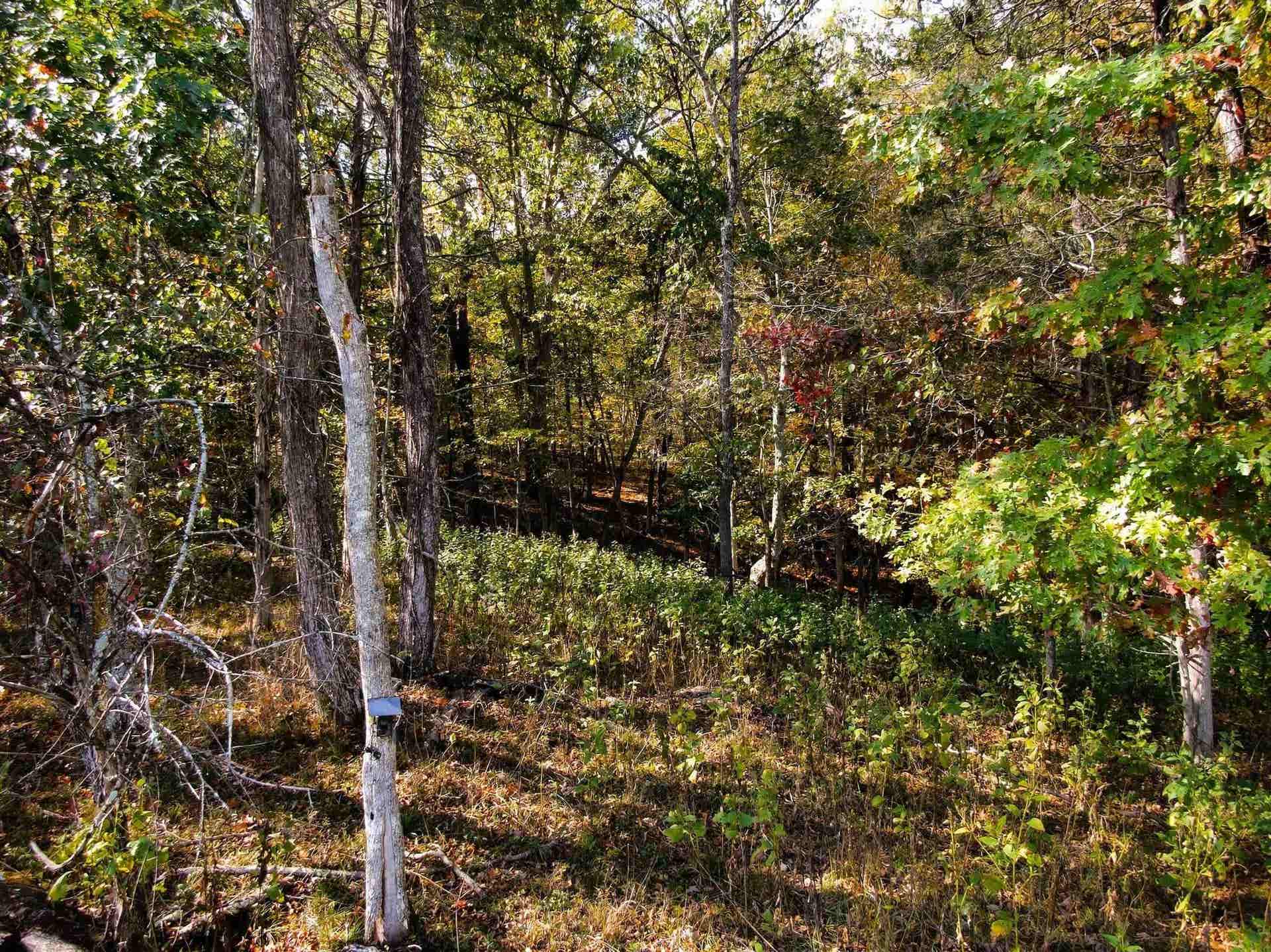 2413 Lusters Gate Road, Blacksburg, VA 24060