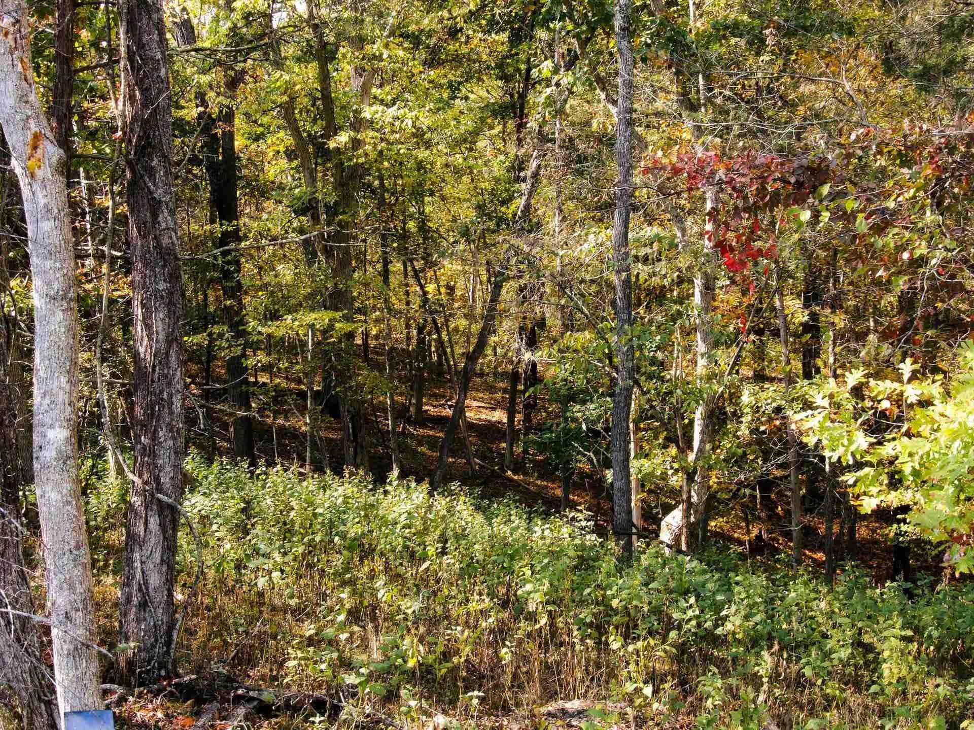 2413 Lusters Gate Road, Blacksburg, VA 24060