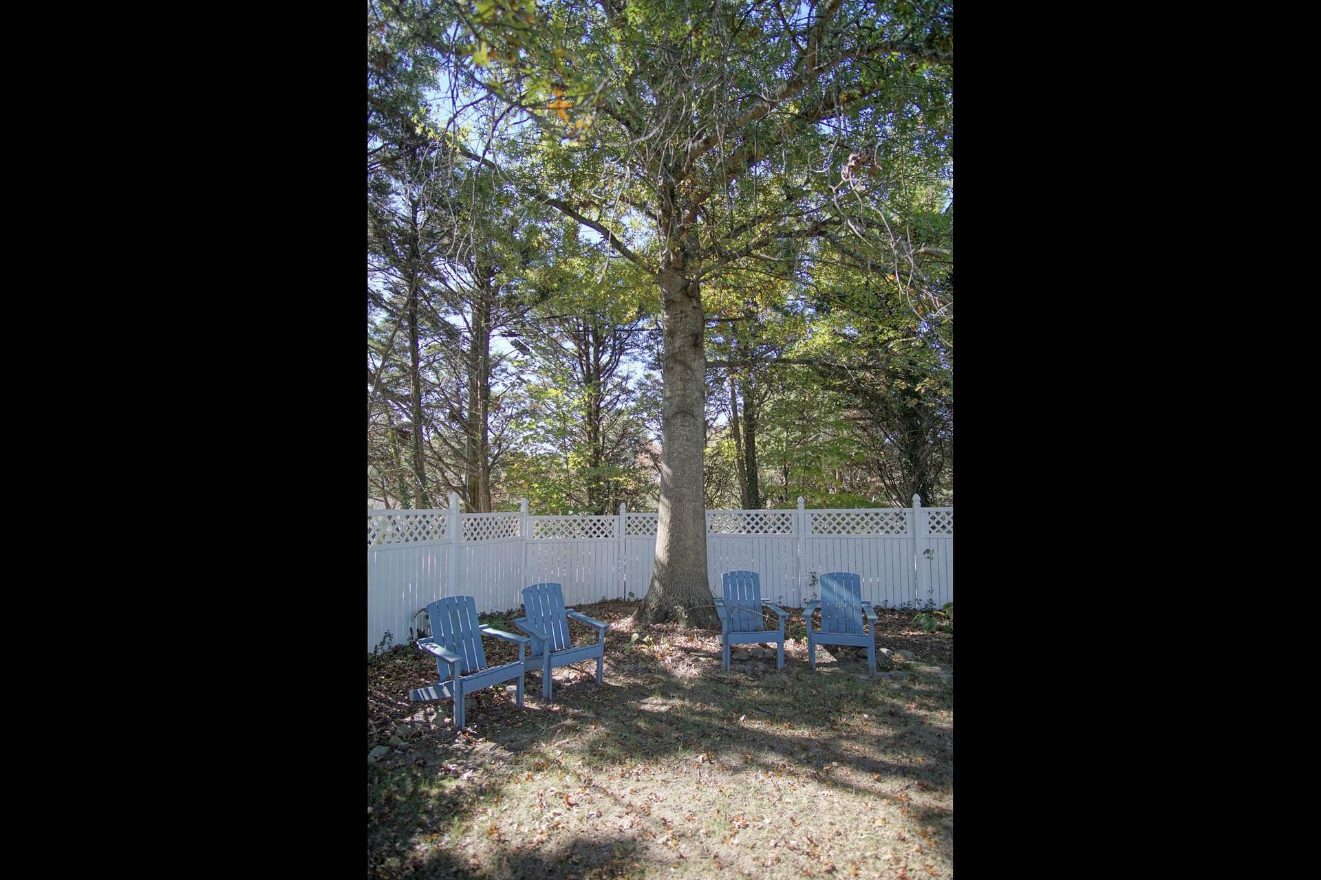808 Preston Avenue, Blacksburg, VA 24060
