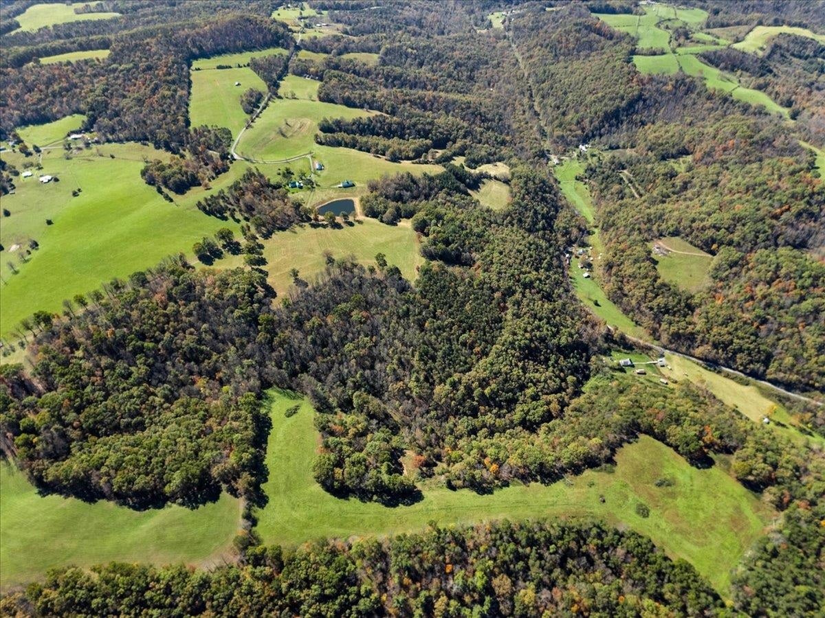 2358 White Tree Hill Road, Ballard, WV 24918
