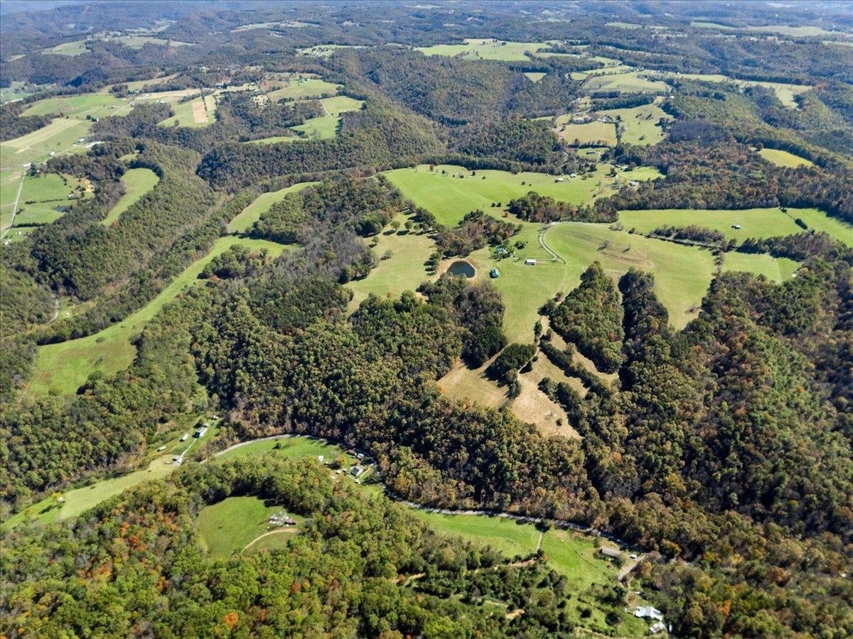 2358 White Tree Hill Road, Ballard, WV 24918