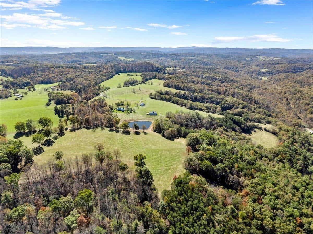 2358 White Tree Hill Road, Ballard, WV 24918