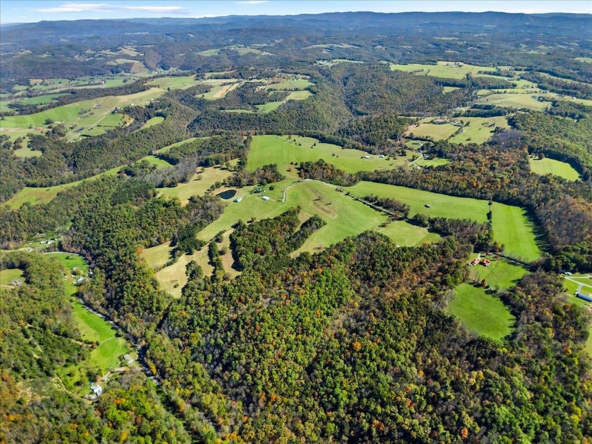2358 White Tree Hill Road, Ballard, WV 24918