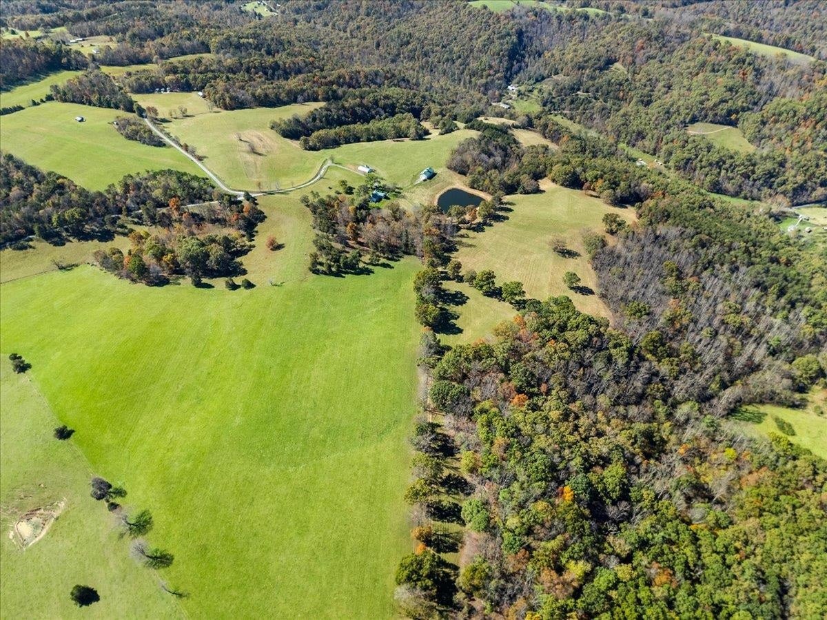 2358 White Tree Hill Road, Ballard, WV 24918